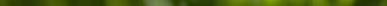 Linie 2